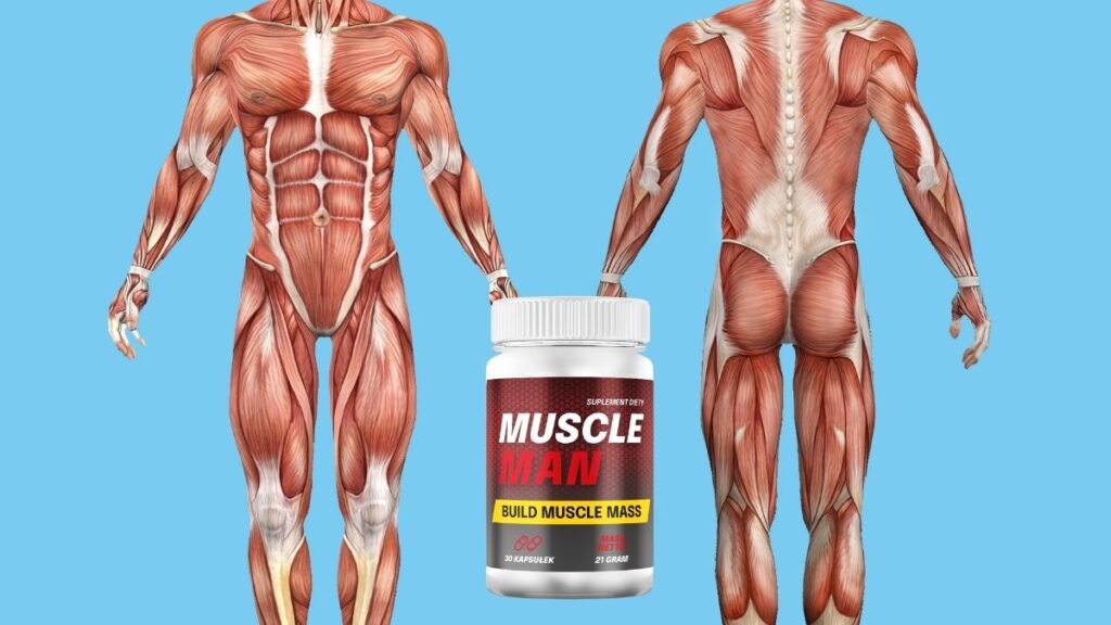 Jak stosuje się MuscleMan na mięśnie?
